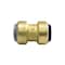 Apollo 3/4 in. Brass Push-to-Connect Polybutylene Conversion Coupling FSBPBC34 - alternate 5